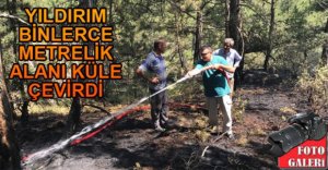 DÜŞEN YILDIRIM METRELERCE ALANI YAKTI