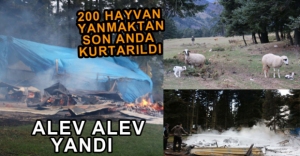 EV ALEV ALEV YANDI, HAYVANLAR SON ANDA KURTARILDI