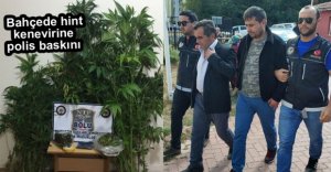 GEREDE'DE UYUŞTURUCU OPERASYONU