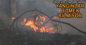 GÖYNÜK YİNE ALEVLER İÇİNDE