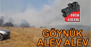 GÖYNÜK'TE BÜYÜK ORMAN YANGINI
