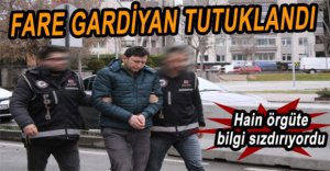 HAİN ÖRGÜTÜN FARESİ İÇİN KARAR VERİLDİ