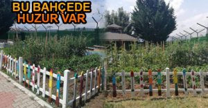 HASTALAR, BU BAHÇEDE TEDAVİ OLUYOR