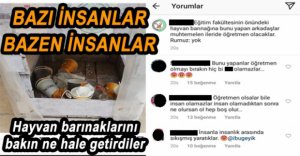 HAYVAN BARINAĞINA ÇÖP KOVASI MUAMELESİ