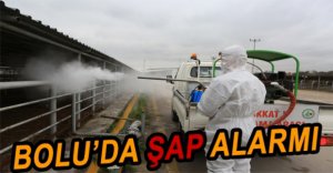 HAYVAN PAZARLARI KAPATILDI