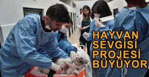 HAYVAN SEVGİSİ PROJESİ BÜYÜYOR