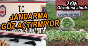 HEPSİ TEK TEK YAKALANDI