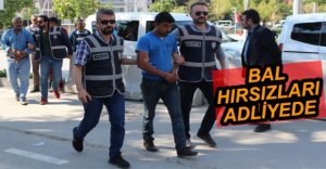 İMAMDAN ÇALDILAR HURDALIKTA YAKALANDILAR