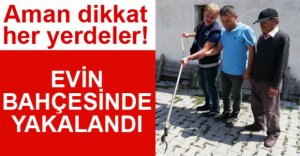 İTFAİYE EVİN BAHÇESİNDE YAKALADI