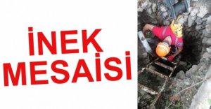 İTFAİYENİN İNEK MESAİSİ