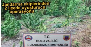 JANDARMADAN UYUŞTURUCU OPERASYONU