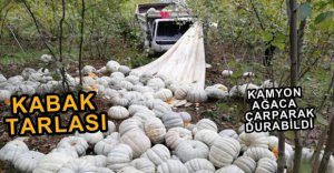 KABAK YÜKLÜ KAMYON TIRLA ÇARPIŞTI