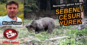 KAÇAN AYIYI "GEL BURAYA OĞLUM" DİYE GERİ ÇAĞIRDI