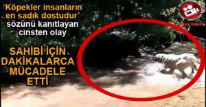 KAHRAMAN BULUT, SAHİBİNİ KORUDU