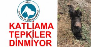 KATLİAMA TEPKİLER DİNMİYOR