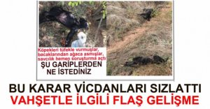 KÖPEKLERİ ÖLDÜREN CANİYLE İLGİLİ KARAR VERİLDİ