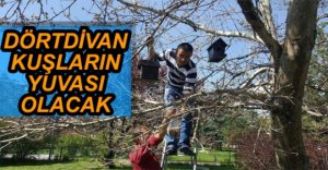 KUŞLAR İÇİN ÖZEL YAPTIRLAN YUVALAR HAZIR