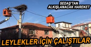LEYLEK YUVASI İÇİN ÇALIŞTILAR