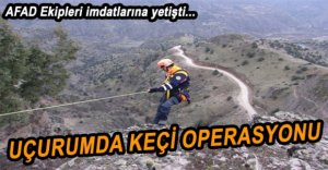 MAHSUR KALAN KEÇİLERİ KURTARDILAR