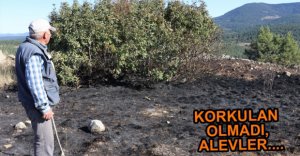 ORMAN YANGINI KONTROL ALTINA ALINDI