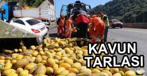 OTOYOL KAVUN TARLASINA DÖNDÜ