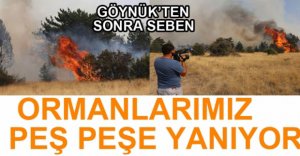 PEŞ PEŞE ORMAN YANGINLARI