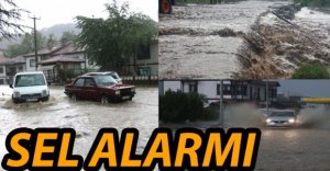 SEL İKİ İLÇEDE ETKİLİ OLDU