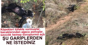 SKANDAL GÖRÜNTÜLERE SAVCILIK SORUŞTURMASI