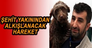 SOKAĞA ATILAN KÖPEĞİ SAHİPLENDİ