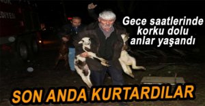 TELEF OLMAKTAN SON ANDA KURTARDILAR