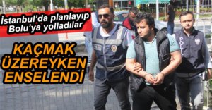 TELEFON DOLANDIRICISI YAKALANDI