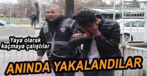 TEYP HIRSIZLARI ADLİYEDE