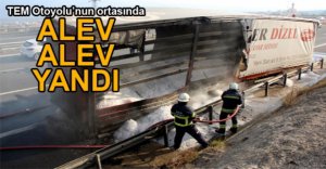 TUZ YÜKLÜ TIR ALEV ALEV YANDI
