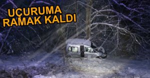 UÇURUMDAN AĞAÇ KURTARDI