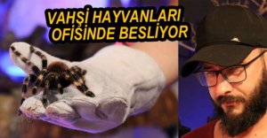 VAHŞİ HAYVANLARI OFİSİNDE BESLİYOR