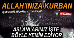 VİDEO HABER - TÜYLERİ DİKEN DİKEN EDEN GÖRÜNTÜLER