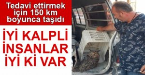 YARALI KUŞU 150 KM BOYUNCA TAŞIDI
