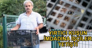 YARALI KUŞU, İŞÇİLER KURTARDI