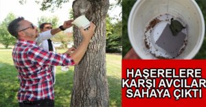 HAŞERELERE KARŞI AVCI BÖCEK ÖNLEMİ
