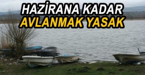 YENİÇAĞA’DA AV YASAĞI BAŞLADI