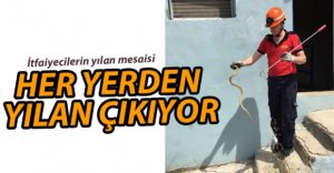 YILANLAR KENTİN DÖRT BİT YANINI SARDI