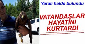 YOLDA BULDUĞU ŞAHİNİN HAYATINI KURTARDI