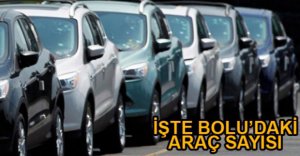 YÜZ BİNİN ÜSTÜNDE ARACIN KAYDI YAPILDI