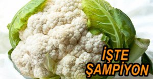 ZAM ŞAMPİYONU BELLİ OLDU