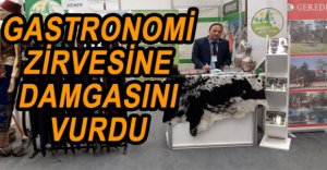 ZİRVEDE GEREDE RÜZGARI