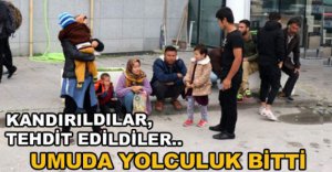 40 MÜLTECİ BOLU'DA YAKALANDI