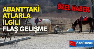 ABANT’TAKİ ATLARLA İLGİLİ FLAŞ GELİŞME