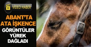 ABANT'TA ATA İŞKENCE