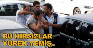 ADLİYE LOJMANLARINI SOYDULAR