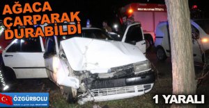 AĞACA ÇARPARAK DURABİLDİ